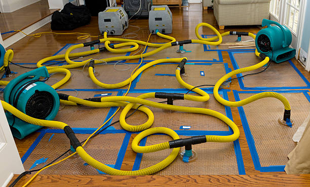Professional Structural Drying And Dehumidification technician working in Cortland, OH